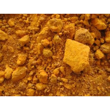 China High Quality Turmeric Powder for Exporting